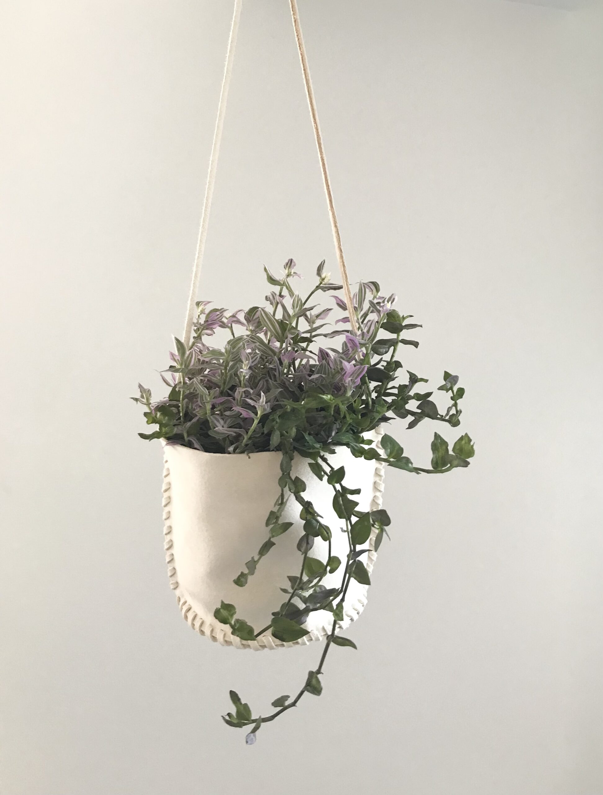 4月 ボタニカルハンギングワークショップ